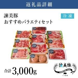 ふるさと納税 諫美豚(かんびとん)おすすめバラエティセット3kg 長崎県諫早市