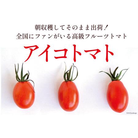 ふるさと納税 AF014 全国にファンがいる高級フルーツトマト たっぷり！アイコ 1kg 長崎県島原市