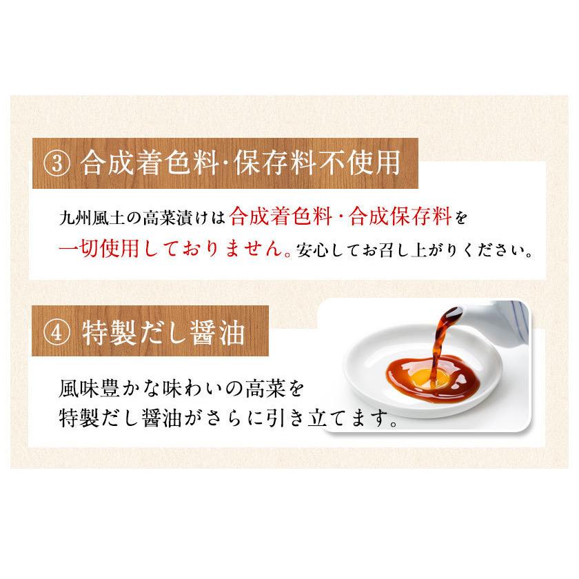 賞味期限2023年12月26日 辛子高菜 600g入(150g×4袋) 1000円 ポッキリ 送料無料 高菜漬け 小分け ご飯 お供 漬け物 1-5営業以内発送予定(土日祝除)