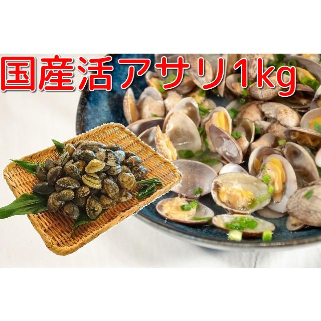 国産 アサリ 浅利 1kg