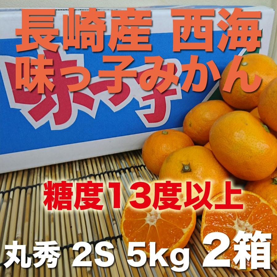 ご贈答に最適 長崎産 西海 味っ子みかん 赤丸秀 2S 約5kg 2箱