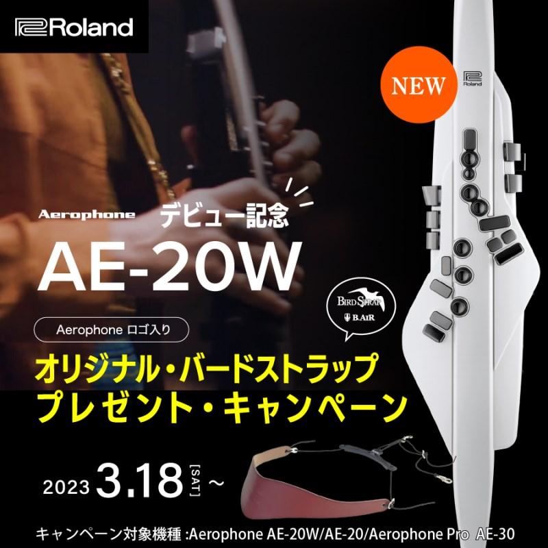 Roland Aerophone AE-20W(ホワイト)