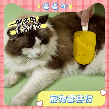 寵物梳子 貓咪梳子 貓毛梳 寵物梳 貓梳子 貓咪梳毛 廢毛梳 貓咪梳毛器 寵物梳毛器 寵物梳 雪糕梳 寵物雪糕梳
