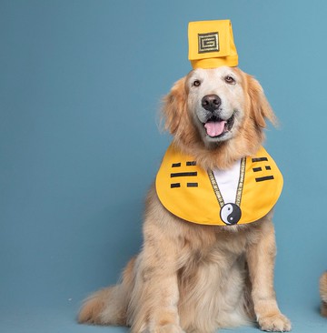 【去去霉運走】寵物殭屍道長--毛孩專用道士裝