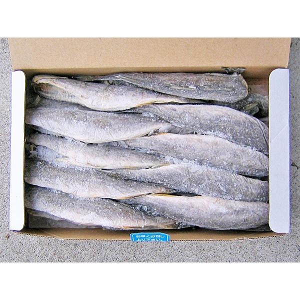 氷下魚(コマイ)天日干 1Kg (L 20尾前後）北海道根室産こまい一夜干