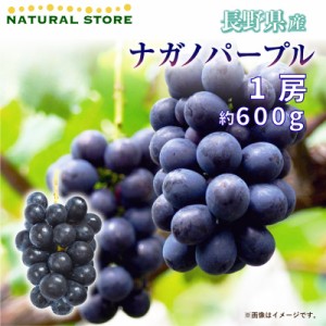 [最短順次発送]   ナガノパープル 1房 約600g ぶどう 長野県産 秋ギフト  果実ギフト