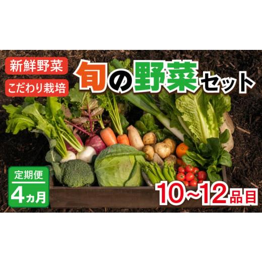 ふるさと納税 徳島県 阿波市 野菜 お楽しみ 定期便 4回 10~12品目 詰め合わせ セット 阿波 ツクヨミ ファーム 玉ねぎ とまと じゃがいも