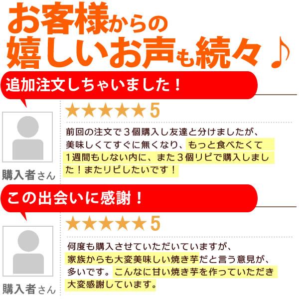 焼き芋 食品 スイーツ 紅はるか やきいも 6本セット 国産 焼きイモ スイーツ お菓子 冷凍 60代 70代 80代