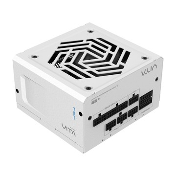 FSP 全漢FSP VITA GM MIT 650W ATX3.1 雙金牌全模組電源 純白 (MIT台灣製造/扁線材/A+低噪認證)