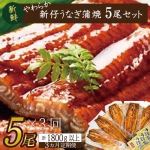 ふるさと納税 AD-87　やわらか新仔うなぎ蒲焼120〜140ｇ　5尾×3回　計1800ｇ以上 茨城県行方市