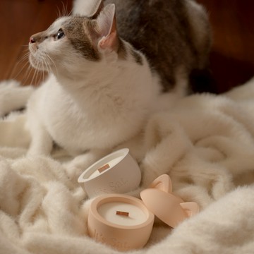 【 🐱 緞帶包裝 貓奴必買｜香氣自選 】3款任選.ᐟ.ᐟ  貓咪耳朵造型 水泥香氛蠟燭（80g) ｜禮盒推薦
