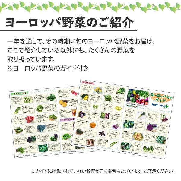 冬ギフト ヨーロッパ野菜 詰め合わせ スタンダード セット 6-8品目 珍しい 野菜 set プレゼント お取り寄せ