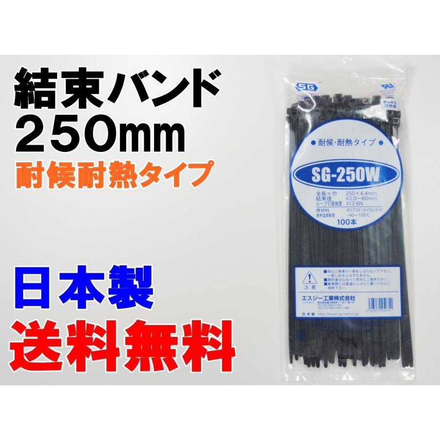 SG工業 コンベックスバンド 250mm 黒 4006-250B 結束バンド ケーブルタイ SG-250W