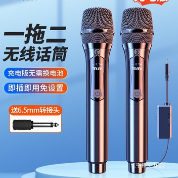 麥克風 電容麥克風 錄音直播專業 話筒一拖二歌麥克風全民家用唱歌連音響專業戶外批發批發