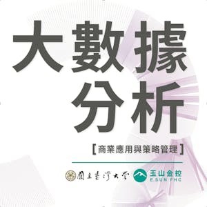 大數據分析：商業應用與策略管理 (Big Data Analytics: Business Applications and Strategic Decisions)