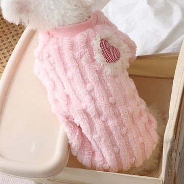 狗狗衣服2025秋冬新品純色豆豆絨衛衣小型犬通用外出保暖兩腳冬裝