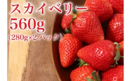 [先行予約] 完熟朝摘み スカイベリー 280g×2パックセット｜ いちご 苺 フルーツ 果物 産地直送 [0409]