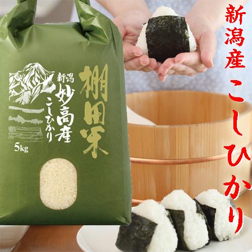 新米 令和5年 新潟産 棚田米 コシヒカリ 5kg 米 新潟県産 コシヒカリ5kg 高級米 5kg  贈答用