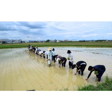 ふるさと納税 米 神大のおこめ（特別栽培米ヒノヒカリ）玄米30kg 兵庫県加西市