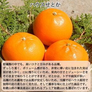 ふるさと納税 ZW6127n_こだわり ハウスせとか 3kg（サイズおまかせ） 和歌山県湯浅町