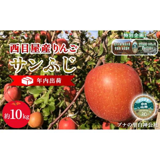 ふるさと納税 青森県 西目屋村 年内出荷：西目屋産りんご サンふじ 約10kg（B-1）