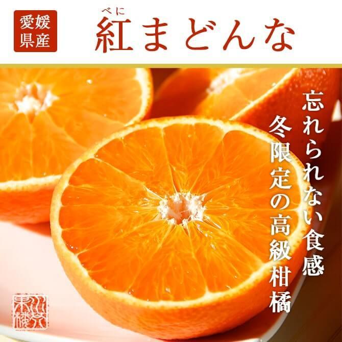 (12月上旬頃より順次発送) 2023 お歳暮 ギフト 愛媛県産 紅まどんな L〜2Lサイズ 約3kg 秀品 化粧箱入り みかん ミカン