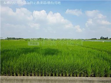 D218斗南平坦農地｜雲林縣斗南鎮五間厝段​