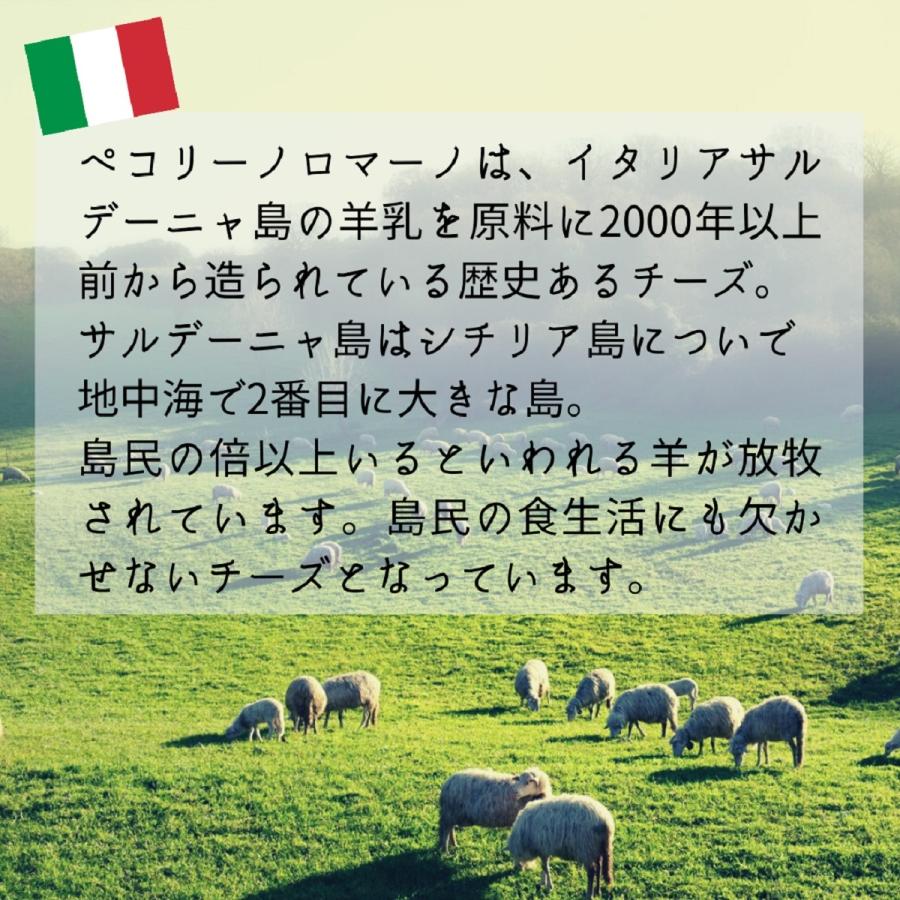 ペコリーノロマーノ 150g ナチュラルチーズ ペコリーノ ロマーノ ハードチーズ 削って 粉チーズに 羊乳 イタリア料理