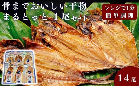 骨までおいしい干物「まるとっと」1尾セット