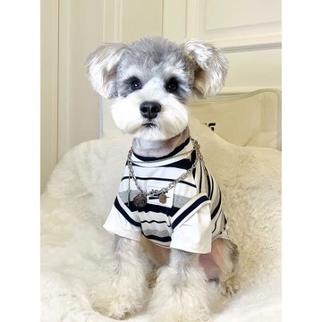 狗狗衣服小型犬夏季薄款貓咪衣服泰迪博美雪納瑞網紅狗狗衣服夏天