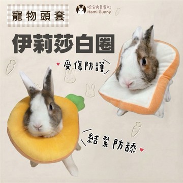 哈密兔事·兔子結紮圈｜兔子絕育頭套·伊莉莎白圈 兔子受傷圈 兔子禮貌圈甜甜圈·兔子結紮必備