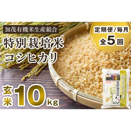 ふるさと納税 新潟県加茂市産 特別栽培米コシヒカリ 玄米10kg（5kg×2）従来品種コシヒカリ 加茂有機米生産組合 .. 新潟県加茂市