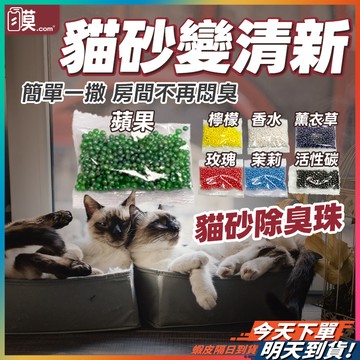 【真正分解除臭】貓砂除臭珠 活性炭除臭 貓砂除臭 現貨 貓砂 除臭貓砂 寵物除臭 貓砂消臭珠 貓砂除臭包 貓砂除臭豆