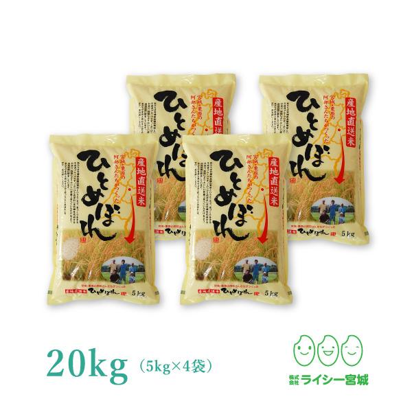 新米 ひとめぼれ 米 20kg 令和5年産 5kgx4袋 お米 宮城県産 白米 送料無料 精白米 産地直送