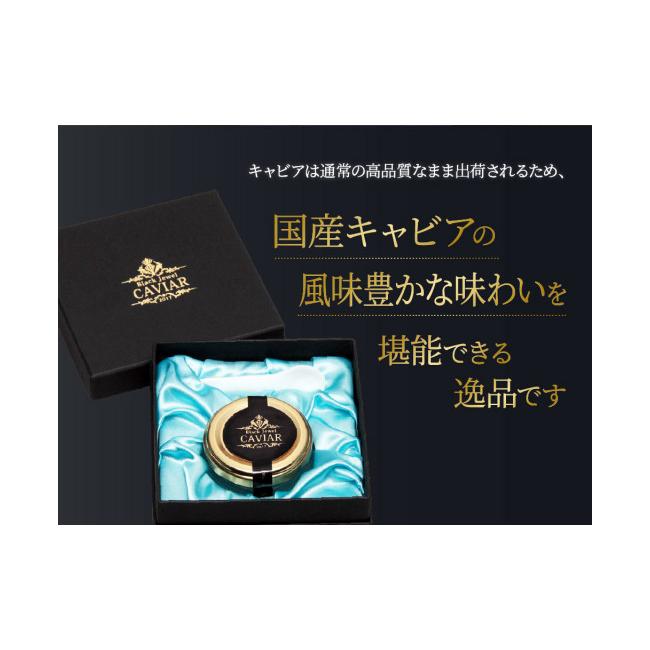 ふるさと納税 高知県 芸西村 熟成キャビア（30g）ブラックジュエル化粧箱入りシェルスプーン付＜高知市共通返礼品＞