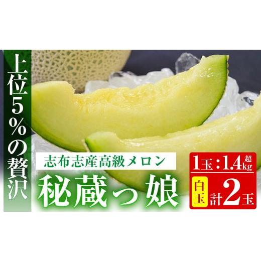 ふるさと納税 鹿児島県 志布志市 b5-069 極上メロン「秘蔵っ娘」白玉(青肉)2個