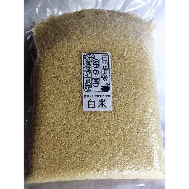 令和4年産コシヒカリ玄米　2kg　農薬・化学肥料不使用　精米無料（3分・5分・7分・白米）