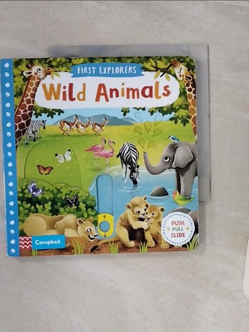 【書寶二手書T1／少年童書_TGF】Wild Animals_Jenny Wren