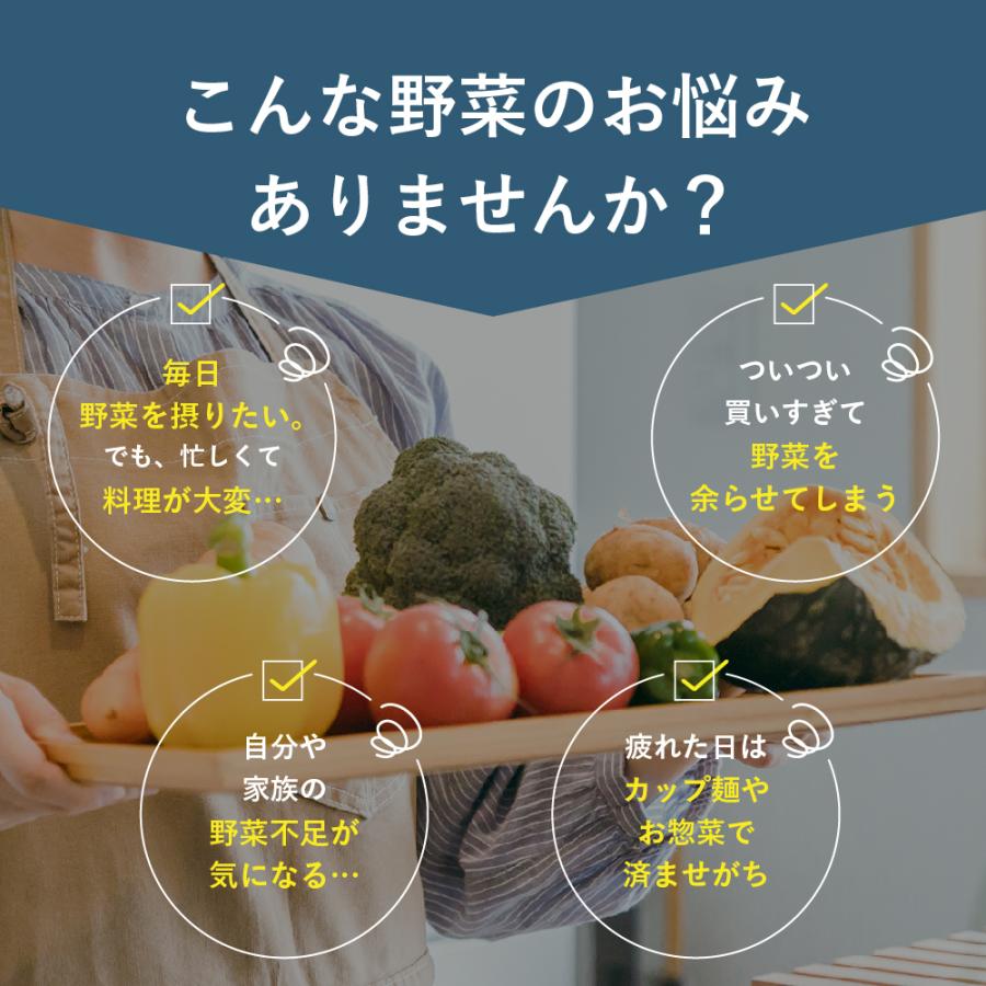 乾燥野菜 国産 DRYVEGETABLE 140ｇドライベジ ミックス 野菜 一人暮らし 常備菜 時短 味噌汁の具 キャベツ 白菜 小松菜 人参 大根 玉ねぎ