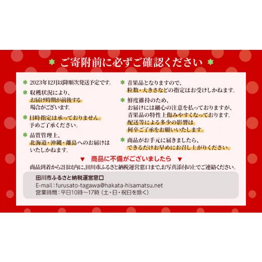 ふるさと納税 福岡県 田川市 農家直送 朝採り新鮮いちご [(約270g)×2パック]＜2023年12月以降順次出荷予定＞