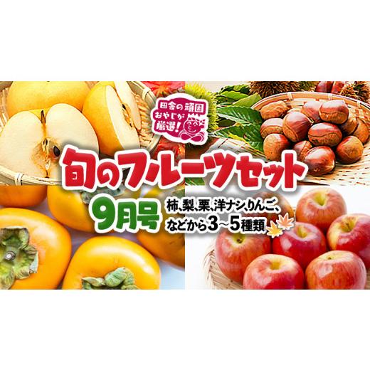 ふるさと納税 茨城県 つくばみらい市 旬のフルーツセット9月号  田舎の頑固おやじが厳選！