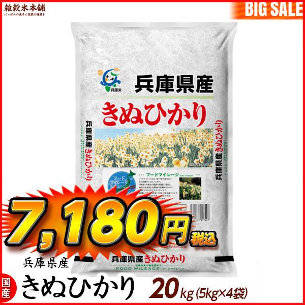 兵庫県産 キヌヒカリ 20kg(5kg×4袋) 精白米 国産 令和5年産 国産キヌヒカリ100％ 送料無料 精米工場からの直送品 ＼セール／