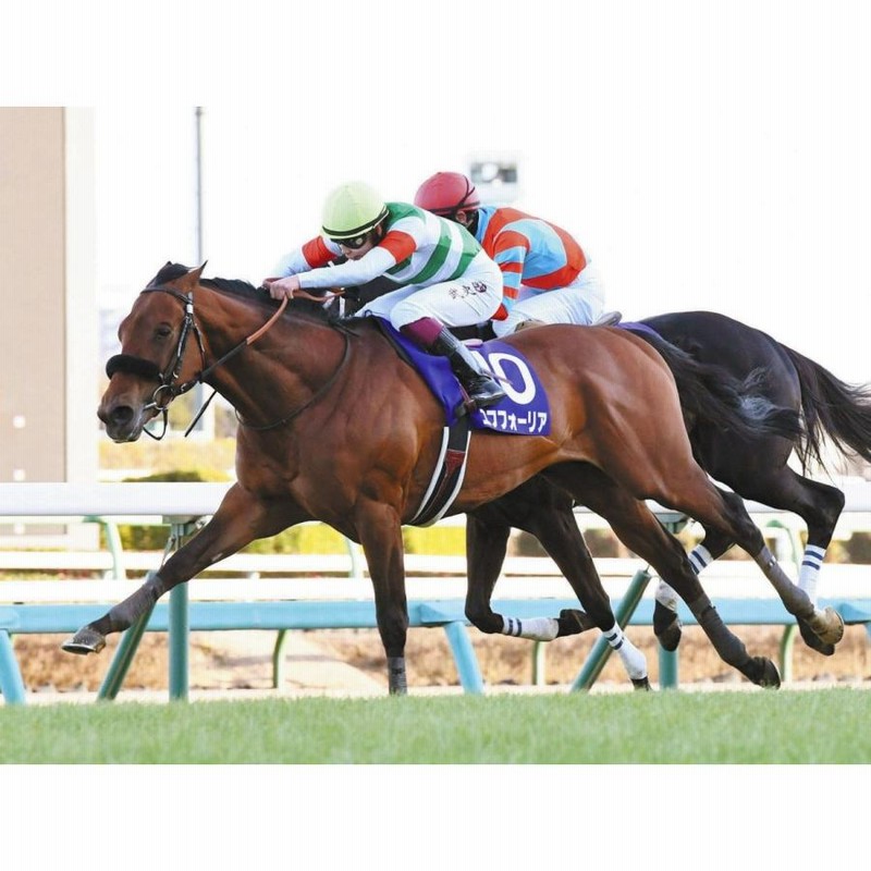 エフフォーリア ぬいぐるみ Sサイズ アイドルホース 第66回有馬
