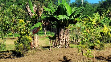 臨溪全平坦農地有自來水有電｜新竹縣橫山鄉沙坑