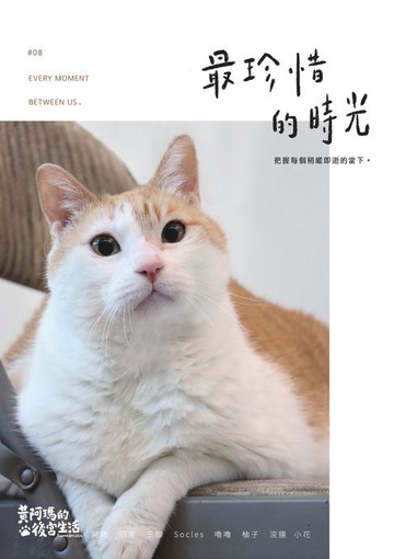 【電子書】黃阿瑪的後宮生活8：最珍惜的時光