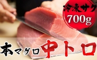 本マグロ 中トロ 600g(冷凍・サク)[0024-0006]