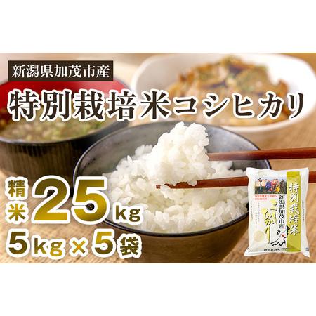 ふるさと納税 新潟県加茂市産 特別栽培米コシヒカリ 精米25kg（5kg×5）白米 従来品種コシヒカリ 加茂有機米生産組合 コシ.. 新潟県加茂市