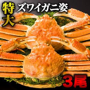 2.4kg 3尾 特大ボイルズワイガニ姿 ズワイガニ かに カニ 蟹 ずわい蟹 姿 蟹姿 かにみそ 蟹みそ かに身 カニ身 ずわいがに 甲羅盛 満足良品館 全国送料無料