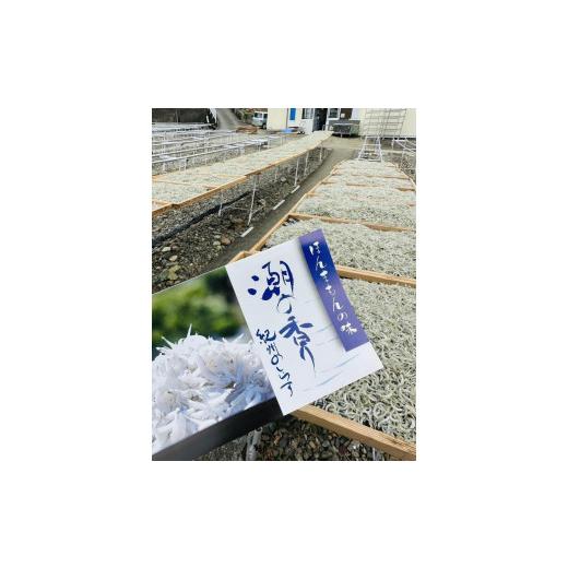 ふるさと納税 和歌山県 海南市 上干ちりめん　５００ｇ