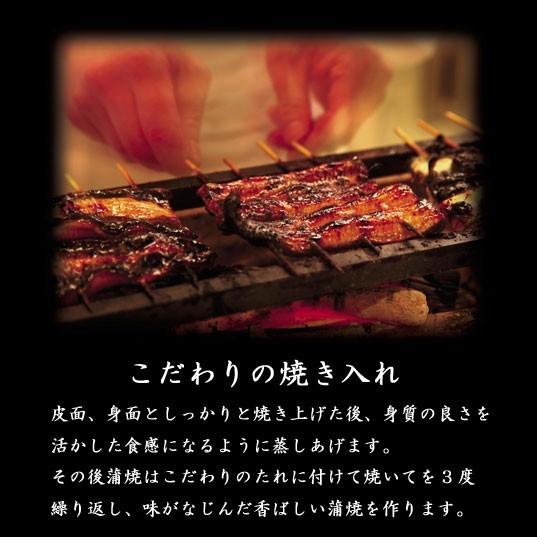 うなぎ蒲焼白焼　国産　4人前　各110g×2　浜松　浜名湖　長焼き　冷凍便　お吸物セット　お取り寄せ